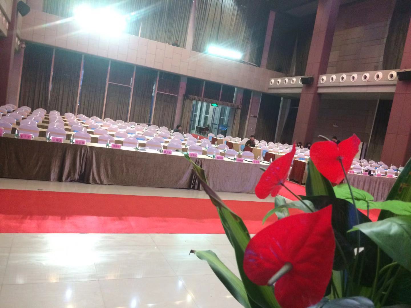 网上投洽会 网上投洽会