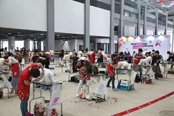 大型宠物展览 大型宠物展览