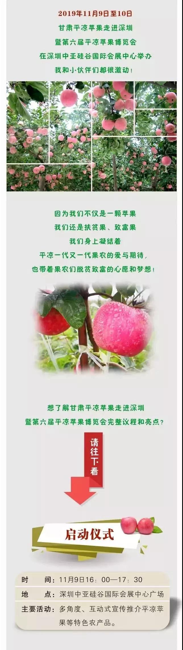 甘肃平凉苹果走进深圳暨第六届平凉苹果博览会